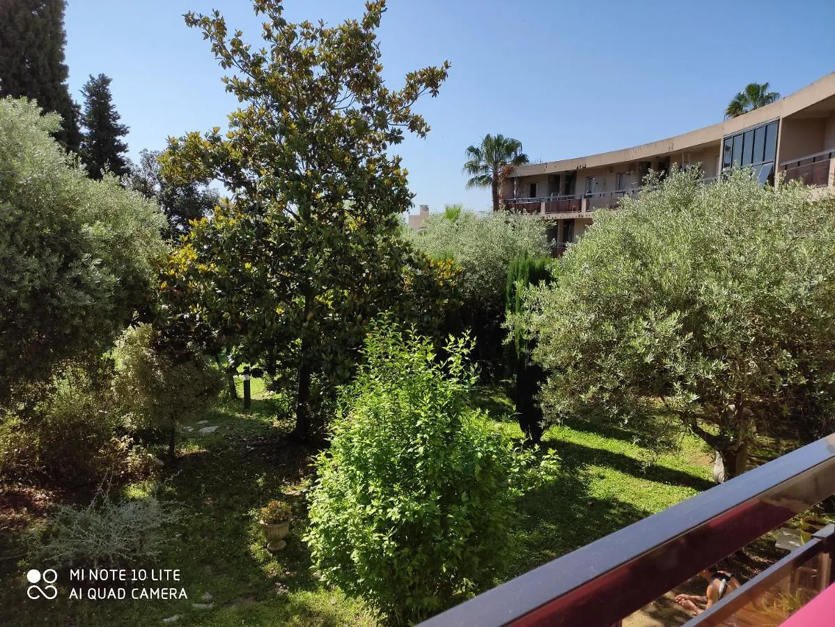 Appartement Les Palmiers Nice Francie